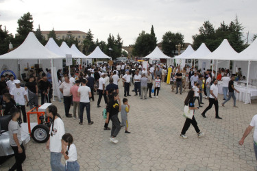 Cəlilabadda “Bir Peşənin Sirri” festivalı keçirilib