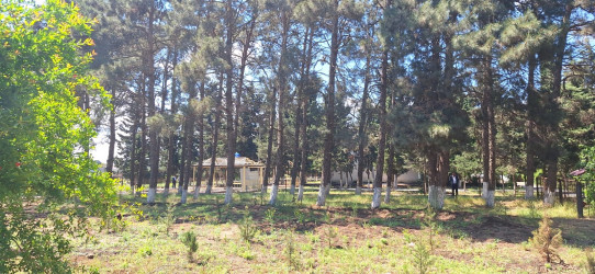 Cəlilabad rayonunun Alar kəndində yeni park salınır