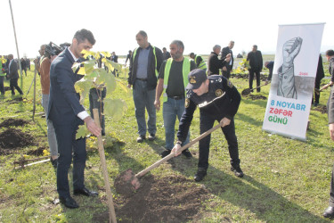 Cəlilabadda 8 noyabr – Zəfər Gününün beşinci ildönümü ilə əlaqədar ağacəkmə aksiyası keçirilib