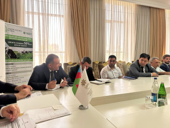 Yerli məhsulların satışına dəstək istiqamətində mövcud imkanlar, çətinliklər və perspektivlərə dair görüş keçirilib.