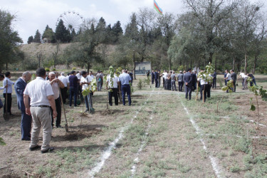 Cəlilabadda 27 Sentyabr-Anım Günü ilə əlaqədar ağacəkmə aksiyası keçirilmişdir