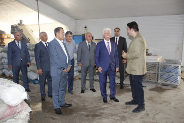 Cəlilabad Rayon İcra Hakimiyyətinin başçısı Rafiq Cəlilov rayonda fəaliyyət göstərən konserv zavodunda istehsal prosesi ilə tanış olub